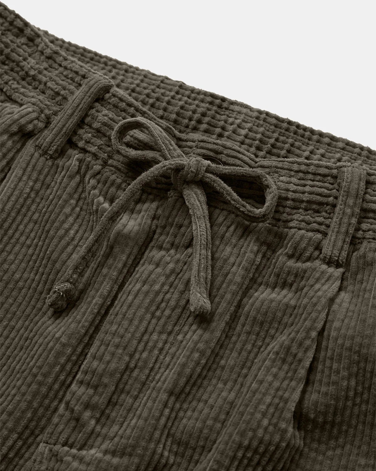 Akjan Cord Pleat Pants - Anerkjendt