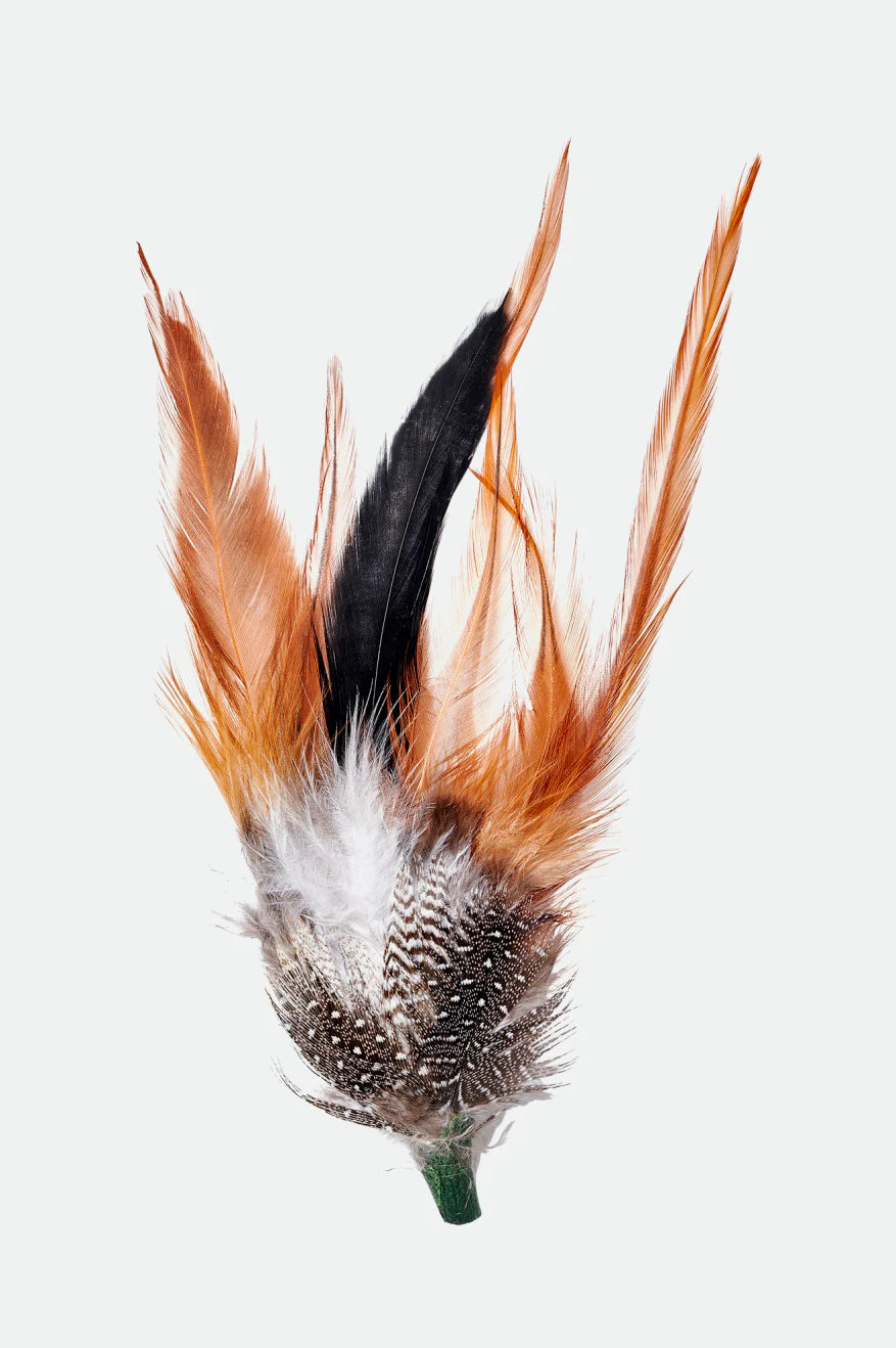 Hat Feather - Brixton