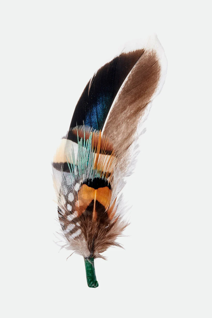 Hat Feather - Brixton